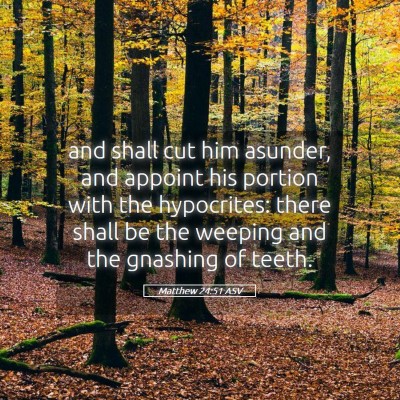 Picture 05 - Matthew 24:51 ASV - and shall cut him asunder, and appoint his - Bible Verse Picture