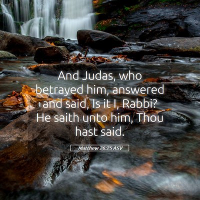 Picture 05 - Matthew 26:25 ASV - And Judas, who betrayed him, answered and said, - Bible Verse Picture