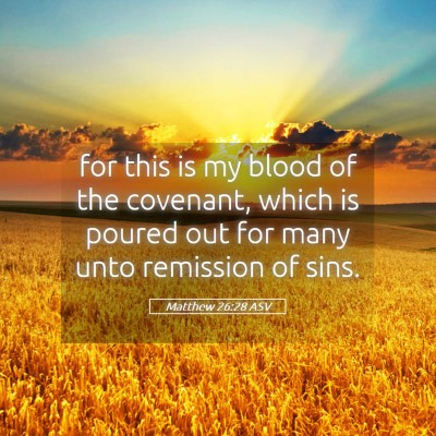 Picture 05 - Matthew 26:28 ASV - for this is my blood of the covenant, which is - Bible Verse Picture