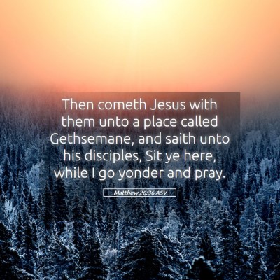 Picture 05 - Matthew 26:36 ASV - Then cometh Jesus with them unto a place called - Bible Verse Picture