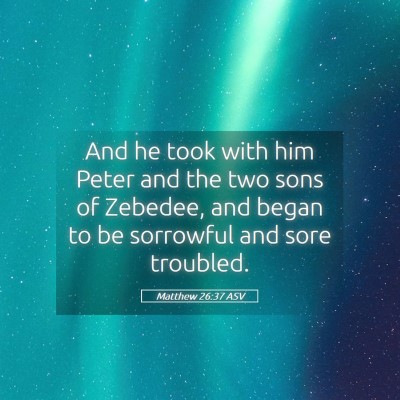Picture 05 - Matthew 26:37 ASV - And he took with him Peter and the two sons of - Bible Verse Picture