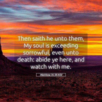 Picture 05 - Matthew 26:38 ASV - Then saith he unto them, My soul is exceeding - Bible Verse Picture