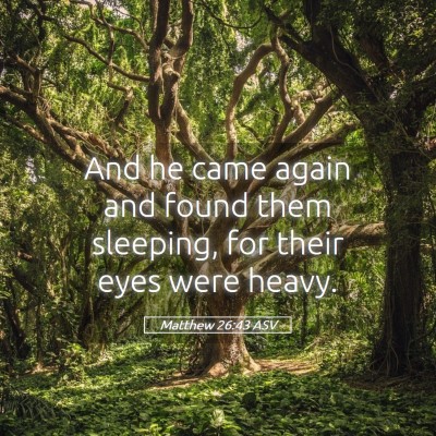 Picture 05 - Matthew 26:43 ASV - And he came again and found them sleeping, for - Bible Verse Picture