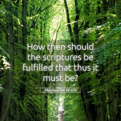 Picture 05 - Matthew 26:54 ASV - How then should the scriptures be fulfilled that - Bible Verse Picture