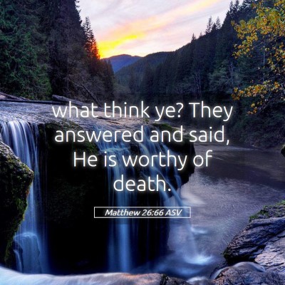 Picture 05 - Matthew 26:66 ASV - what think ye? They answered and said, He is - Bible Verse Picture