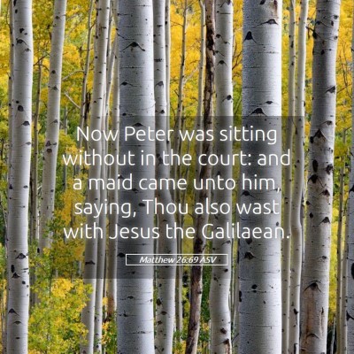 Picture 05 - Matthew 26:69 ASV - Now Peter was sitting without in the court: and a - Bible Verse Picture