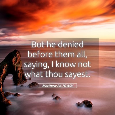 Picture 05 - Matthew 26:70 ASV - But he denied before them all, saying, I know not - Bible Verse Picture