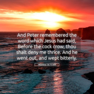 Picture 05 - Matthew 26:75 ASV - And Peter remembered the word which Jesus had - Bible Verse Picture
