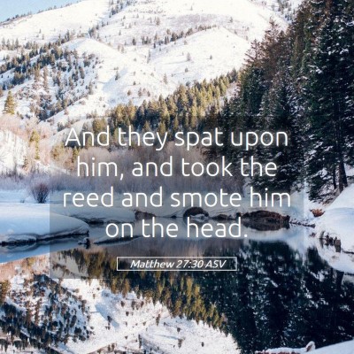 Picture 05 - Matthew 27:30 ASV - And they spat upon him, and took the reed and - Bible Verse Picture