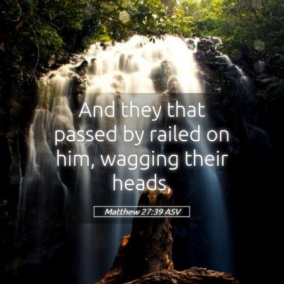 Picture 05 - Matthew 27:39 ASV - And they that passed by railed on him, wagging - Bible Verse Picture
