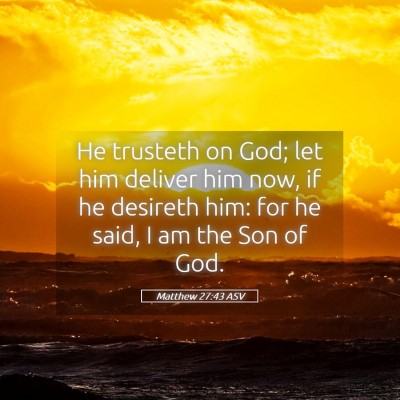 Picture 05 - Matthew 27:43 ASV - He trusteth on God; let him deliver him now, if - Bible Verse Picture