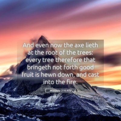Picture 05 - Matthew 3:10 ASV - And even now the axe lieth at the root of the - Bible Verse Picture