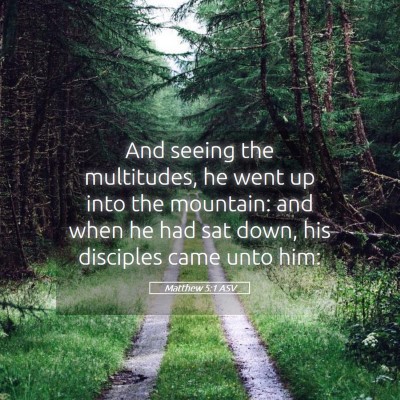 Picture 05 - Matthew 5:1 ASV - And seeing the multitudes, he went up into the - Bible Verse Picture