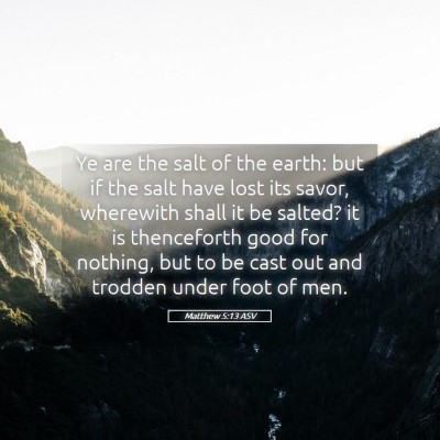 Picture 05 - Matthew 5:13 ASV - Ye are the salt of the earth: but if the salt - Bible Verse Picture