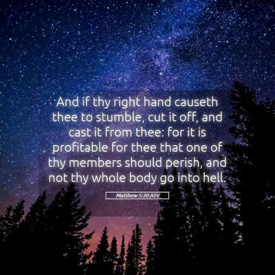 Picture 05 - Matthew 5:30 ASV - And if thy right hand causeth thee to stumble, - Bible Verse Picture