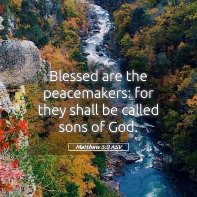 Picture 05 - Matthew 5:9 ASV - Blessed are the peacemakers: for they shall be - Bible Verse Picture