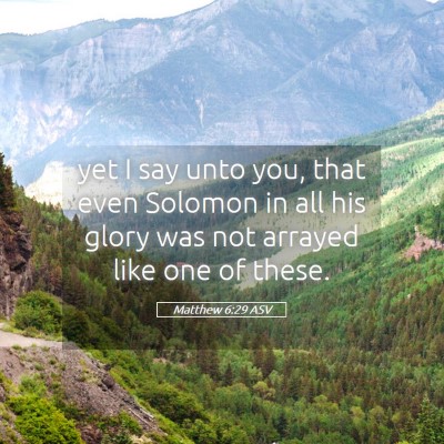 Picture 05 - Matthew 6:29 ASV - yet I say unto you, that even Solomon in all his - Bible Verse Picture