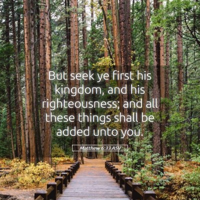 Picture 05 - Matthew 6:33 ASV - But seek ye first his kingdom, and his - Bible Verse Picture
