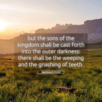 Picture 05 - Matthew 8:12 ASV - but the sons of the kingdom shall be cast forth - Bible Verse Picture
