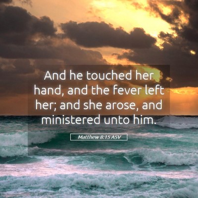 Picture 05 - Matthew 8:15 ASV - And he touched her hand, and the fever left her; - Bible Verse Picture