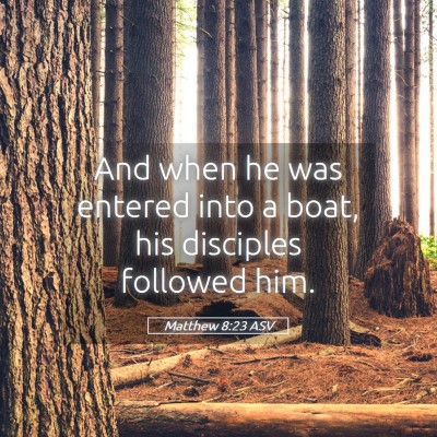 Picture 05 - Matthew 8:23 ASV - And when he was entered into a boat, his - Bible Verse Picture