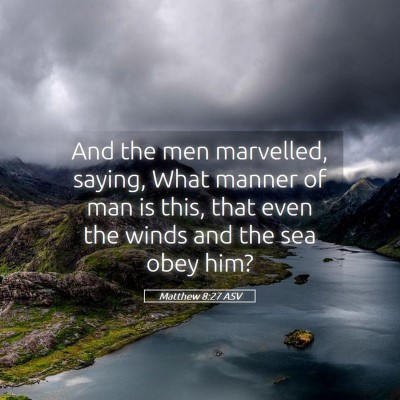 Picture 05 - Matthew 8:27 ASV - And the men marvelled, saying, What manner of man - Bible Verse Picture