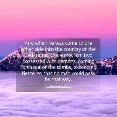 Picture 05 - Matthew 8:28 ASV - And when he was come to the other side into the - Bible Verse Picture