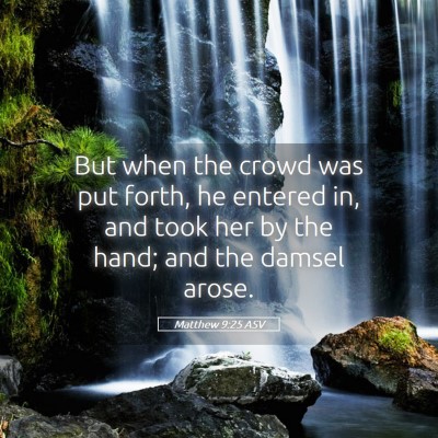 Picture 05 - Matthew 9:25 ASV - But when the crowd was put forth, he entered in, - Bible Verse Picture