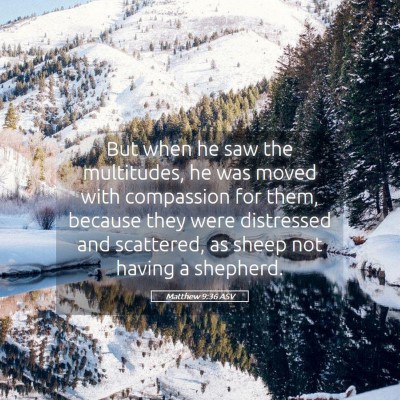 Picture 05 - Matthew 9:36 ASV - But when he saw the multitudes, he was moved with - Bible Verse Picture