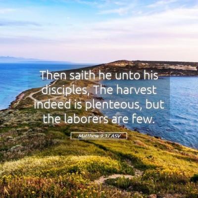 Picture 05 - Matthew 9:37 ASV - Then saith he unto his disciples, The harvest - Bible Verse Picture