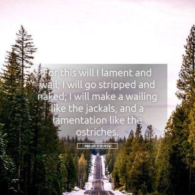 Picture 05 - Micah 1:8 ASV - For this will I lament and wail; I will go - Bible Verse Picture