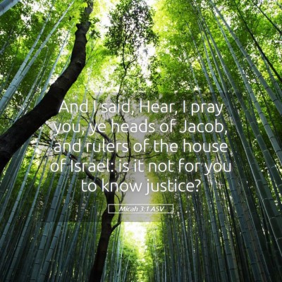 Picture 05 - Micah 3:1 ASV - And I said, Hear, I pray you, ye heads of Jacob, - Bible Verse Picture