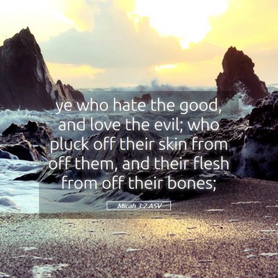 Picture 05 - Micah 3:2 ASV - ye who hate the good, and love the evil; who - Bible Verse Picture