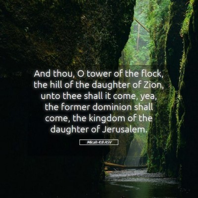 Picture 05 - Micah 4:8 ASV - And thou, O tower of the flock, the hill of the - Bible Verse Picture