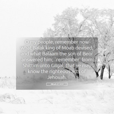 Picture 05 - Micah 6:5 ASV - O my people, remember now what Balak king of Moab - Bible Verse Picture