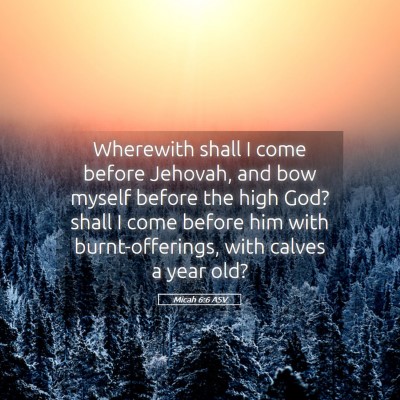 Picture 05 - Micah 6:6 ASV - Wherewith shall I come before Jehovah, and bow - Bible Verse Picture