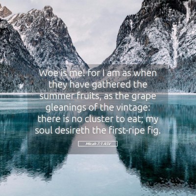 Picture 05 - Micah 7:1 ASV - Woe is me! for I am as when they have gathered - Bible Verse Picture