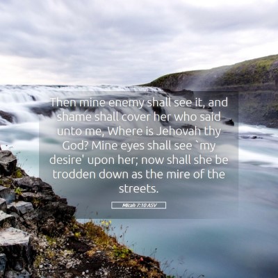 Picture 05 - Micah 7:10 ASV - Then mine enemy shall see it, and shame shall - Bible Verse Picture