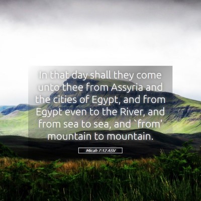 Picture 05 - Micah 7:12 ASV - In that day shall they come unto thee from - Bible Verse Picture