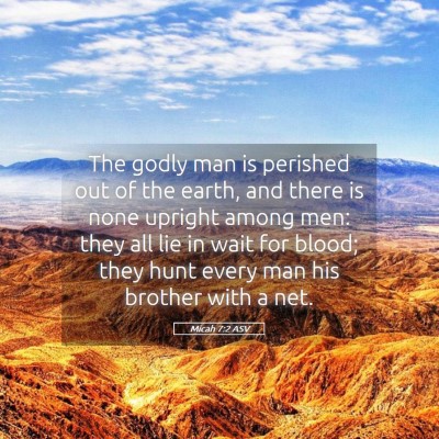 Picture 05 - Micah 7:2 ASV - The godly man is perished out of the earth, and - Bible Verse Picture