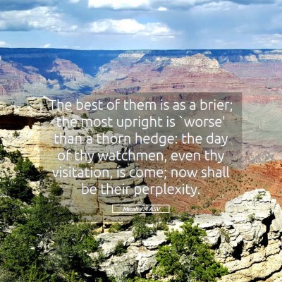 Picture 05 - Micah 7:4 ASV - The best of them is as a brier; the most upright - Bible Verse Picture