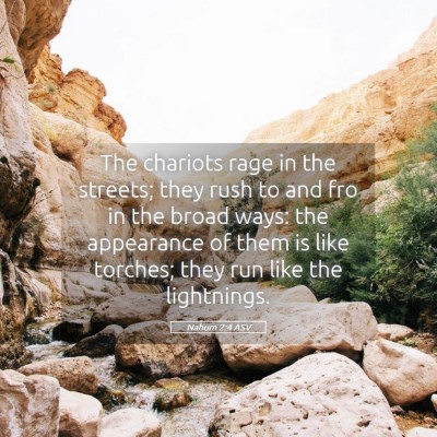 Picture 05 - Nahum 2:4 ASV - The chariots rage in the streets; they rush to - Bible Verse Picture