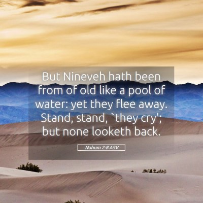 Picture 05 - Nahum 2:8 ASV - But Nineveh hath been from of old like a pool of - Bible Verse Picture