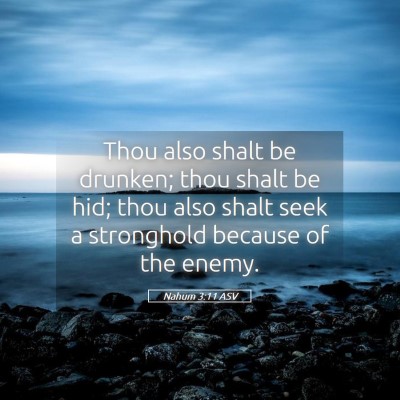 Picture 05 - Nahum 3:11 ASV - Thou also shalt be drunken; thou shalt be hid; - Bible Verse Picture