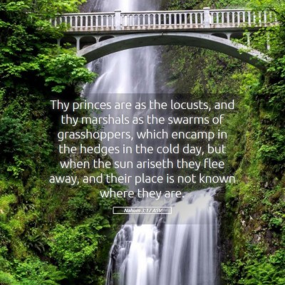 Picture 05 - Nahum 3:17 ASV - Thy princes are as the locusts, and thy marshals - Bible Verse Picture