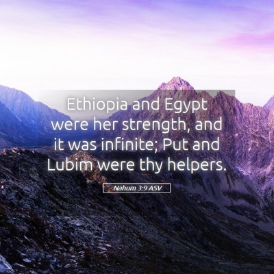 Picture 05 - Nahum 3:9 ASV - Ethiopia and Egypt were her strength, and it was - Bible Verse Picture