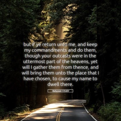 Picture 05 - Nehemiah 1:9 ASV - but if ye return unto me, and keep my - Bible Verse Picture