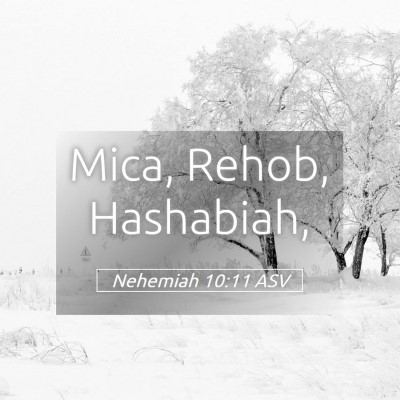 Picture 05 - Nehemiah 10:11 ASV - Mica, Rehob, - Bible Verse Picture