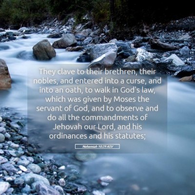 Picture 05 - Nehemiah 10:29 ASV - They clave to their brethren, their nobles, and - Bible Verse Picture