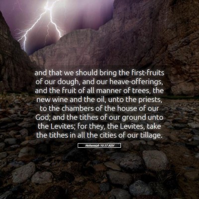 Picture 05 - Nehemiah 10:37 ASV - and that we should bring the first-fruits of our - Bible Verse Picture
